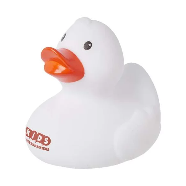 zdjęcie1