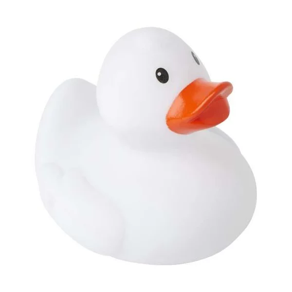zdjęcie3