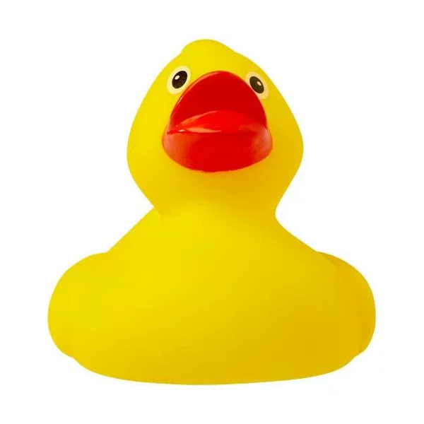 zdjęcie2