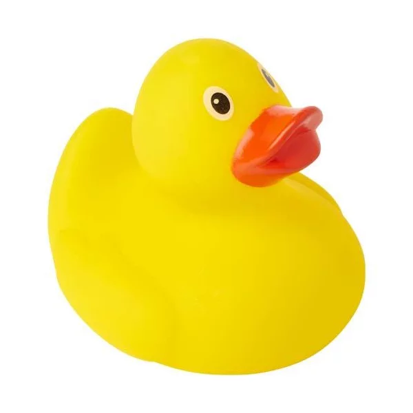zdjęcie3