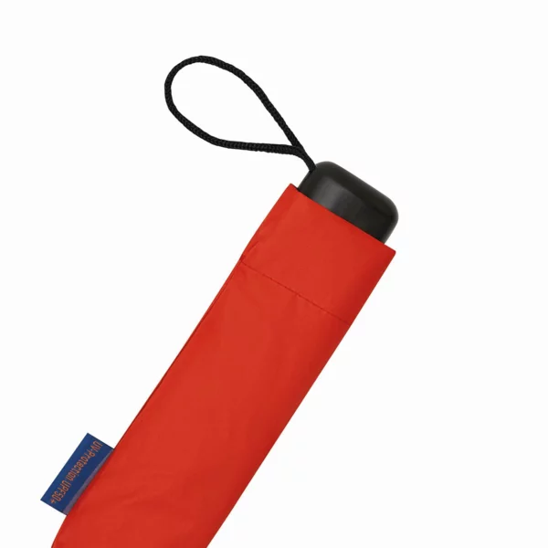 zdjęcie6
