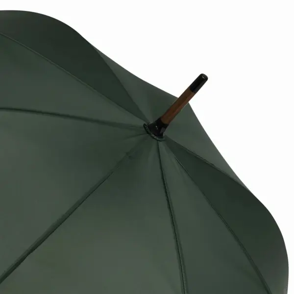 zdjęcie12