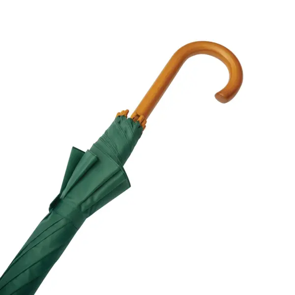 zdjęcie1