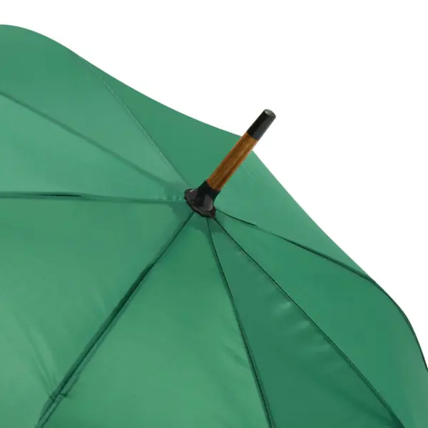 zdjęcie5