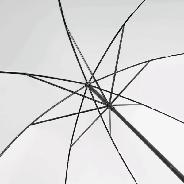 zdjęcie13