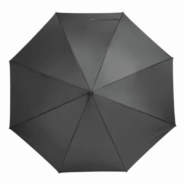 zdjęcie12