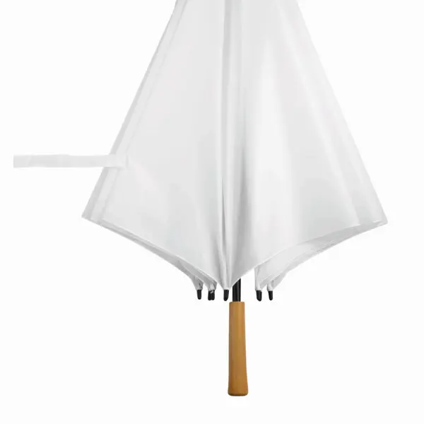 zdjęcie12