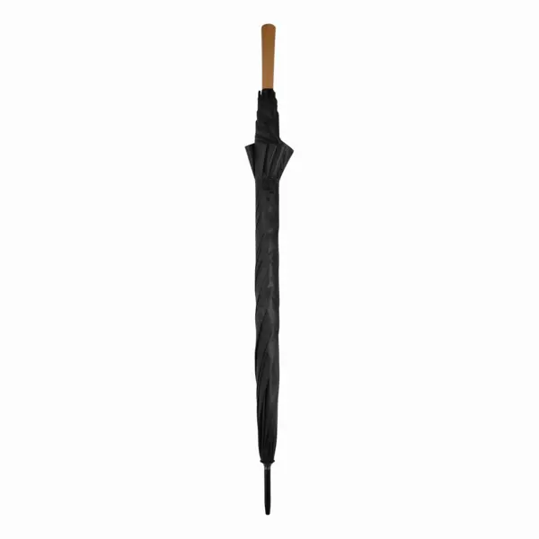 zdjęcie12