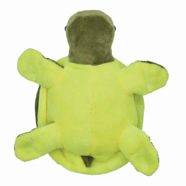 zdjęcie6
