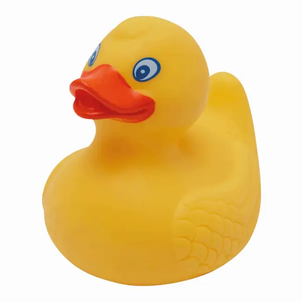 zdjęcie9