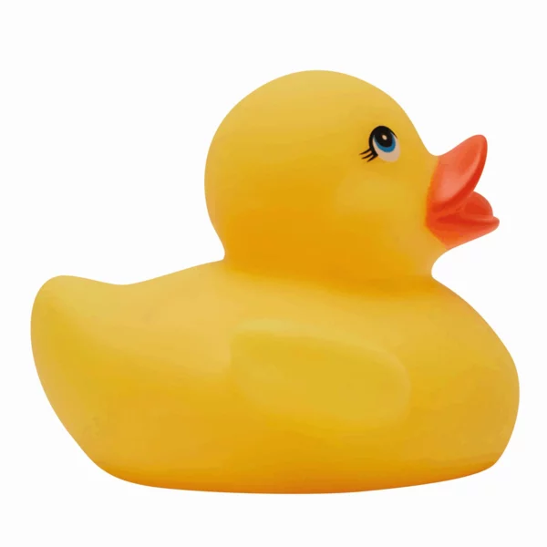 zdjęcie2