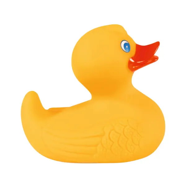 zdjęcie2