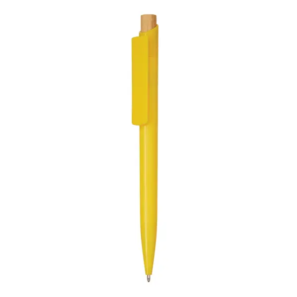 zdjęcie6