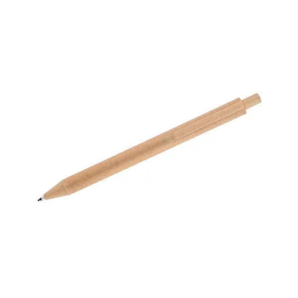 zdjęcie2