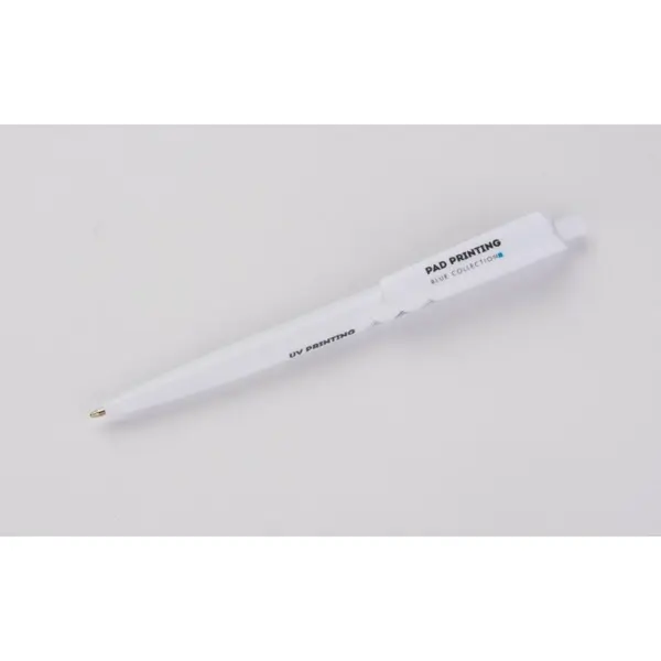 zdjęcie8