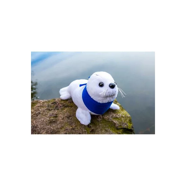 zdjęcie2