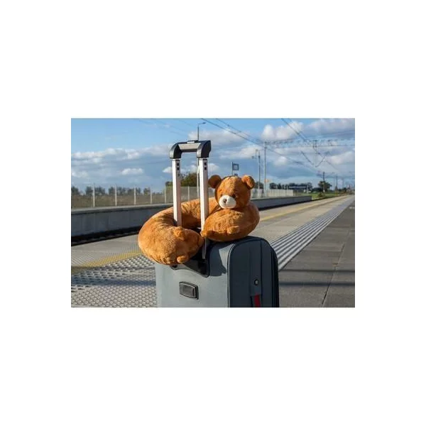 zdjęcie1