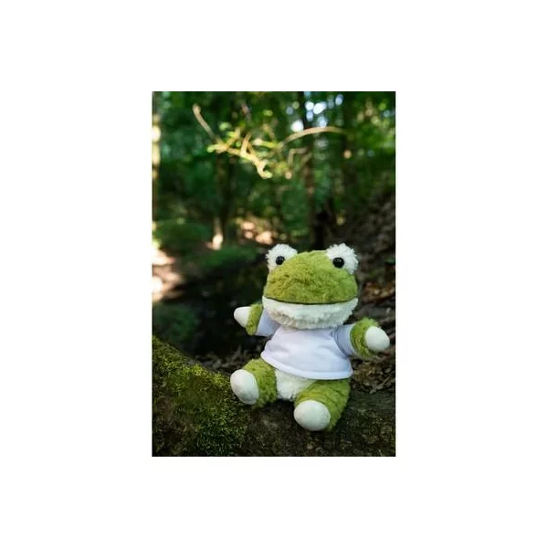 zdjęcie3
