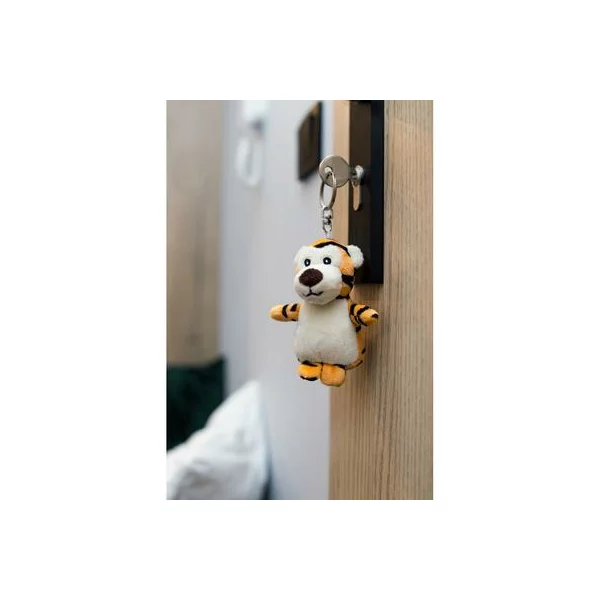 zdjęcie1