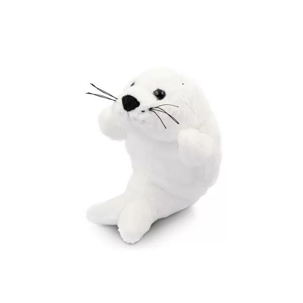 zdjęcie1