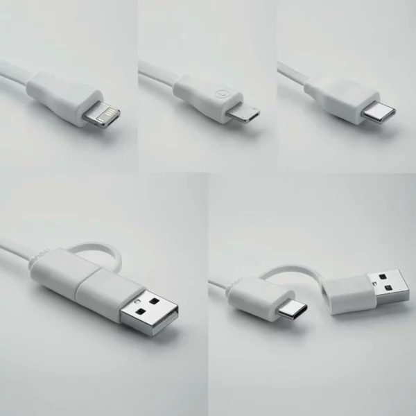 zdjęcie2