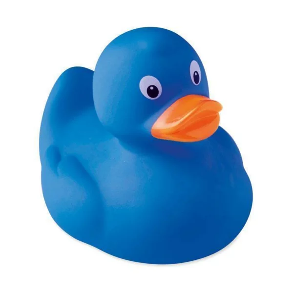 zdjęcie2