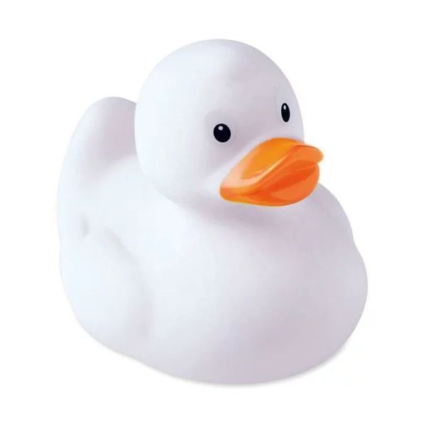 zdjęcie2