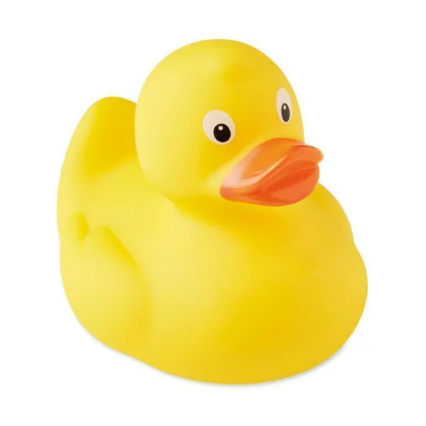 zdjęcie1