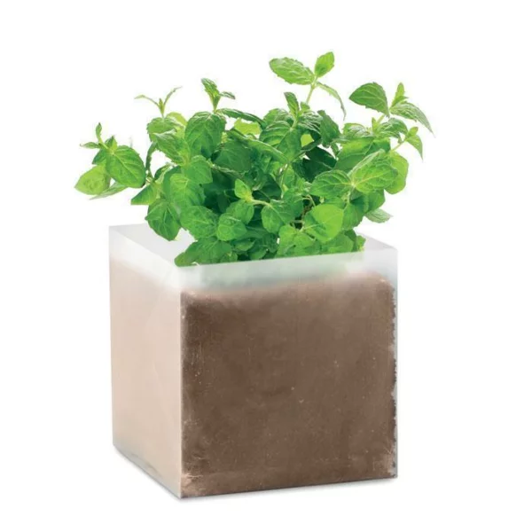 zdjęcie0