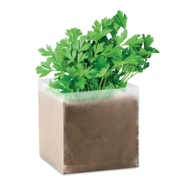 zdjęcie0