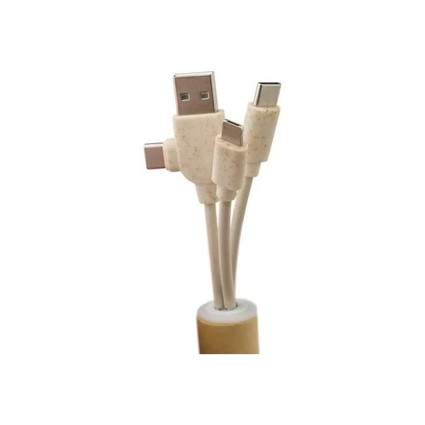 zdjęcie3