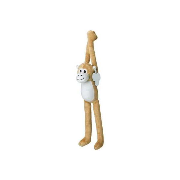 zdjęcie1