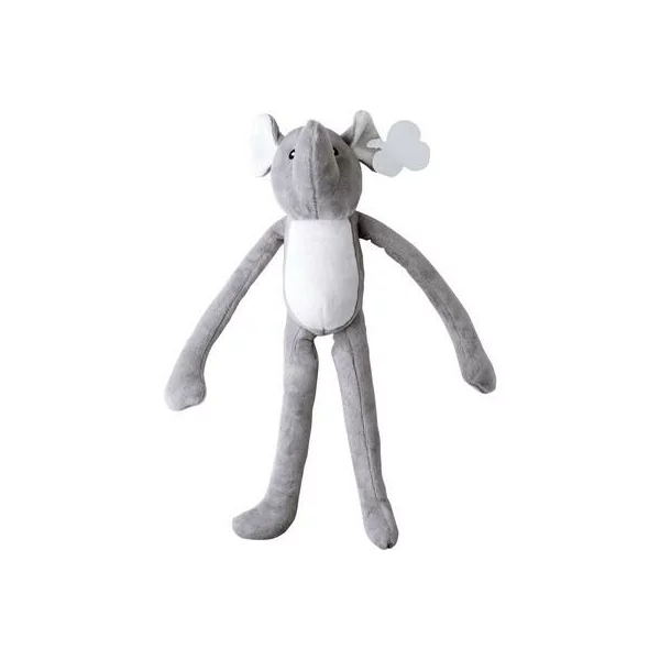zdjęcie0