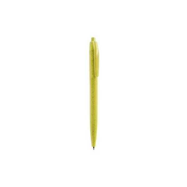 zdjęcie5