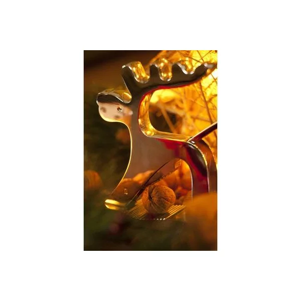 zdjęcie7