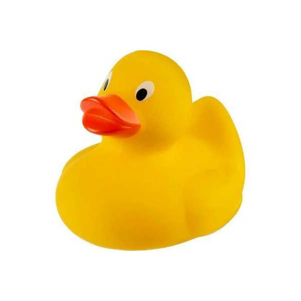 zdjęcie0