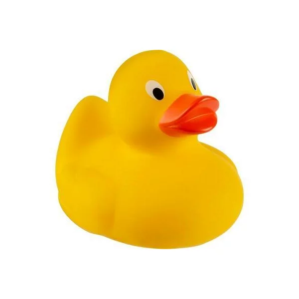 zdjęcie2