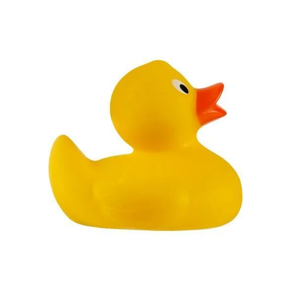 zdjęcie5