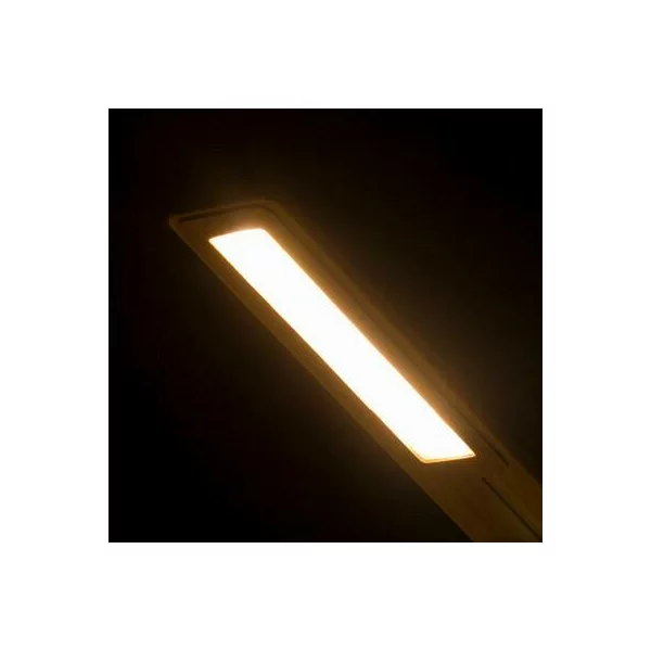 zdjęcie8