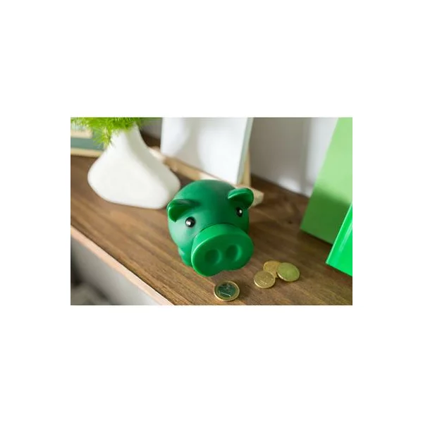zdjęcie7