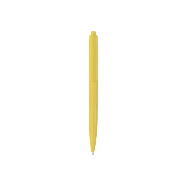 zdjęcie1