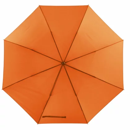 zdjęcie2