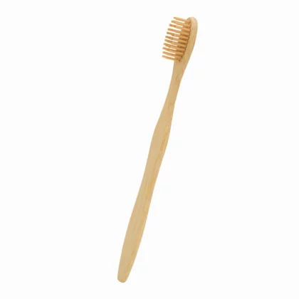 zdjęcie2