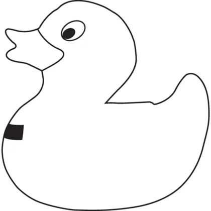 zdjęcie2