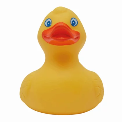 zdjęcie4