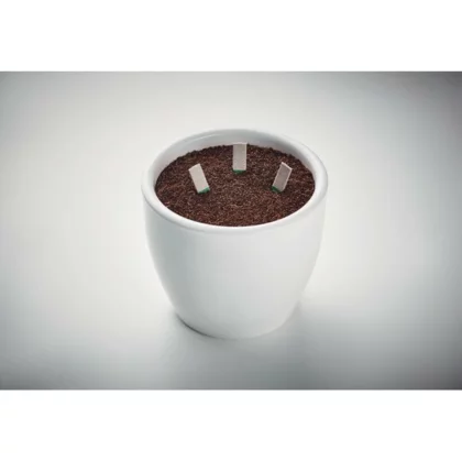 zdjęcie3