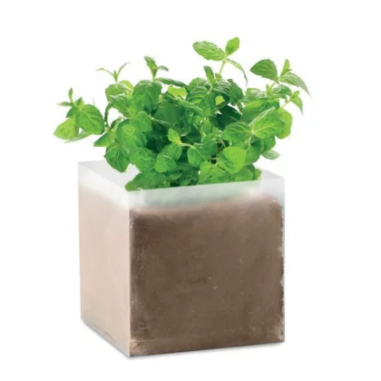 zdjęcie0