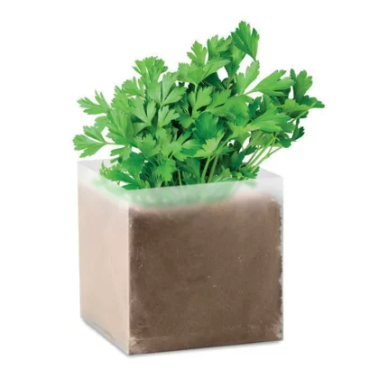 zdjęcie0