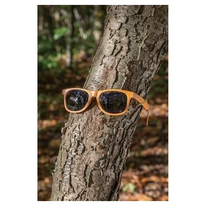 zdjęcie6