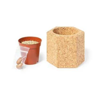 zdjęcie2